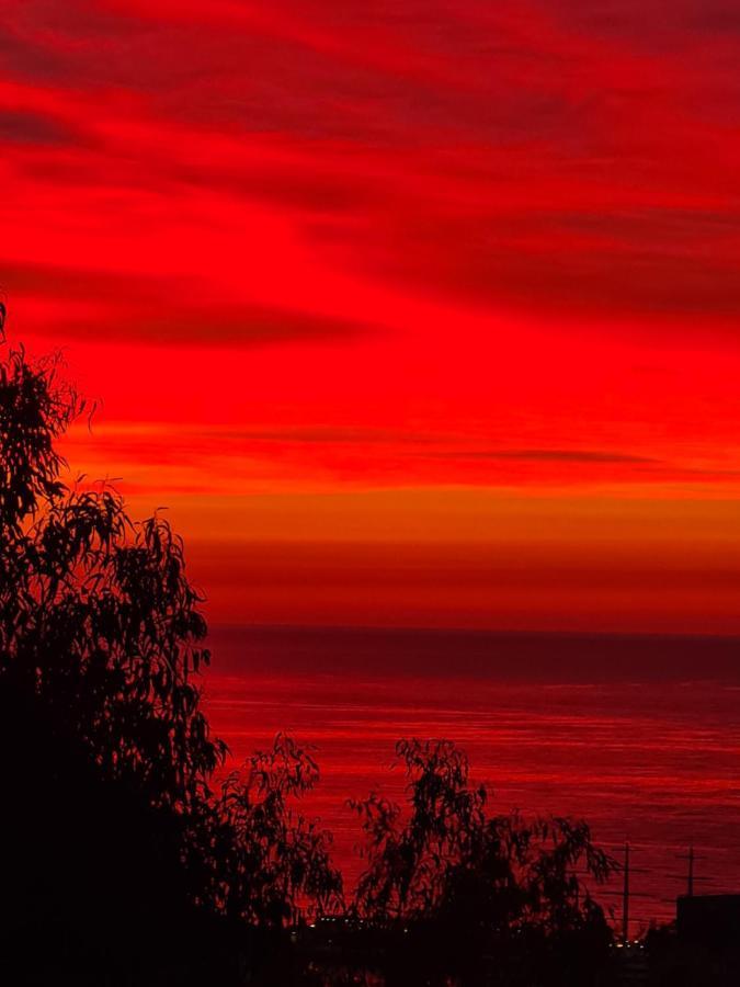 Beautiful Apartment 3Min From Monaco Monte-Carlo Beausoleil Esterno foto